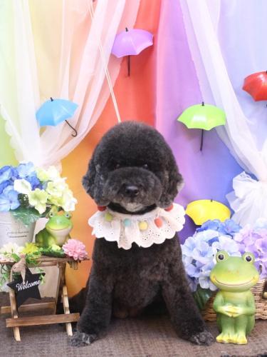 20230630クロちゃん